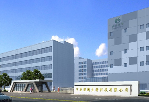 宁波金沙js93252